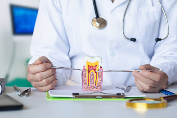 Best Emergency Gum Treatment in South Euclid, OH